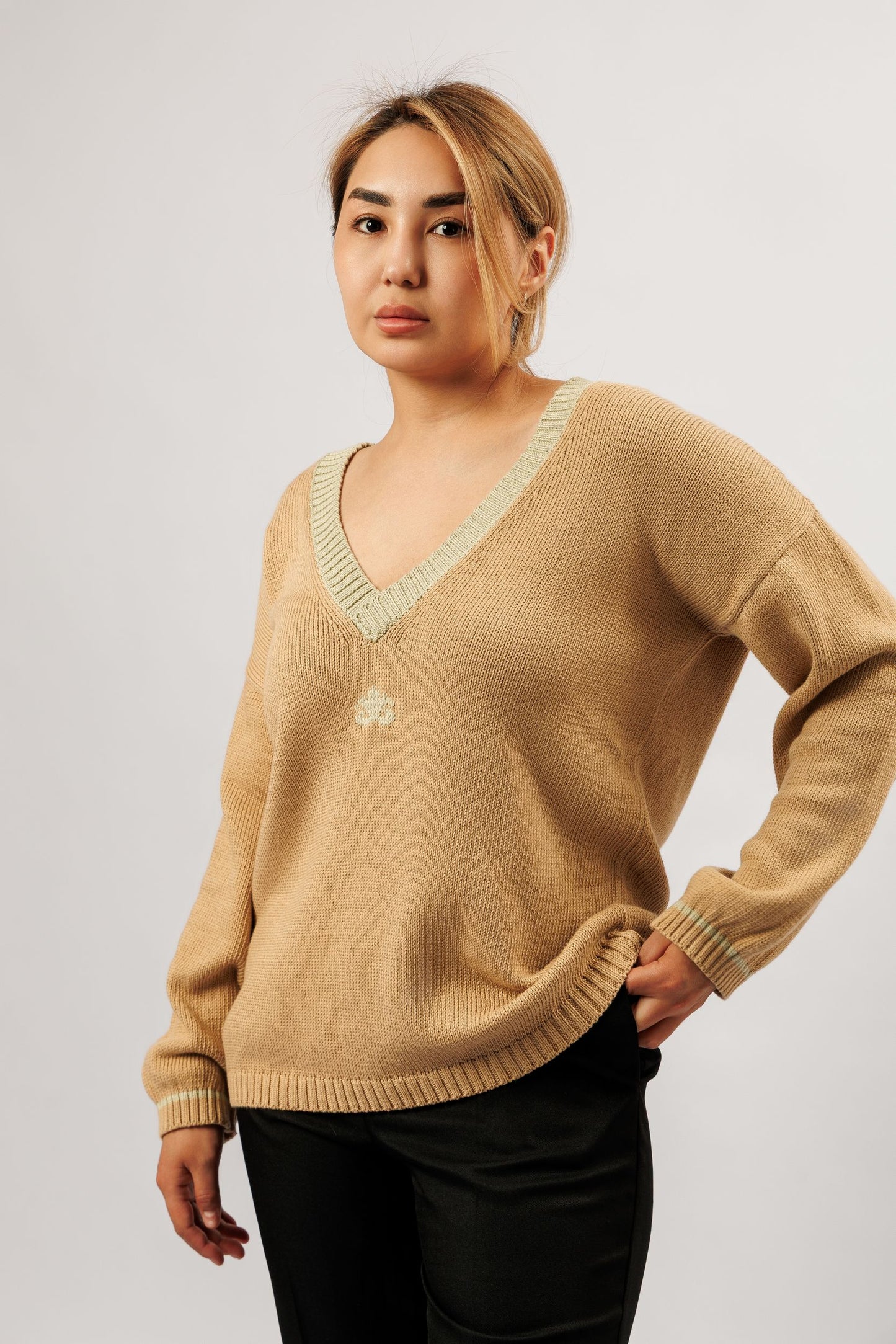 Reversible cotton sweater | beige and olive
